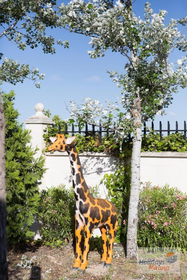 Holidays Mirana Yecla Exterior foto